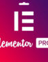 WP ELMNTP 1 1