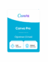 canva pro oegretmen ortak