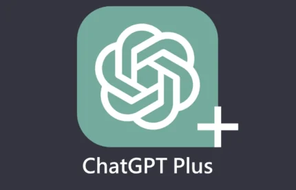 ChatGPT Plus - Kişisel Hesap