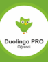 duolingo 800x800 1 1 768x768 1