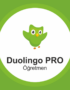 duolingo ogretmen 800x800 1