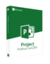 microsoft project professional 2019 windows