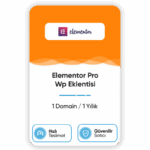 Elementor Pro